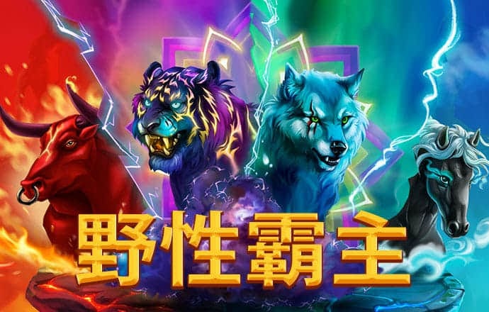 2024白菜网址官网大全